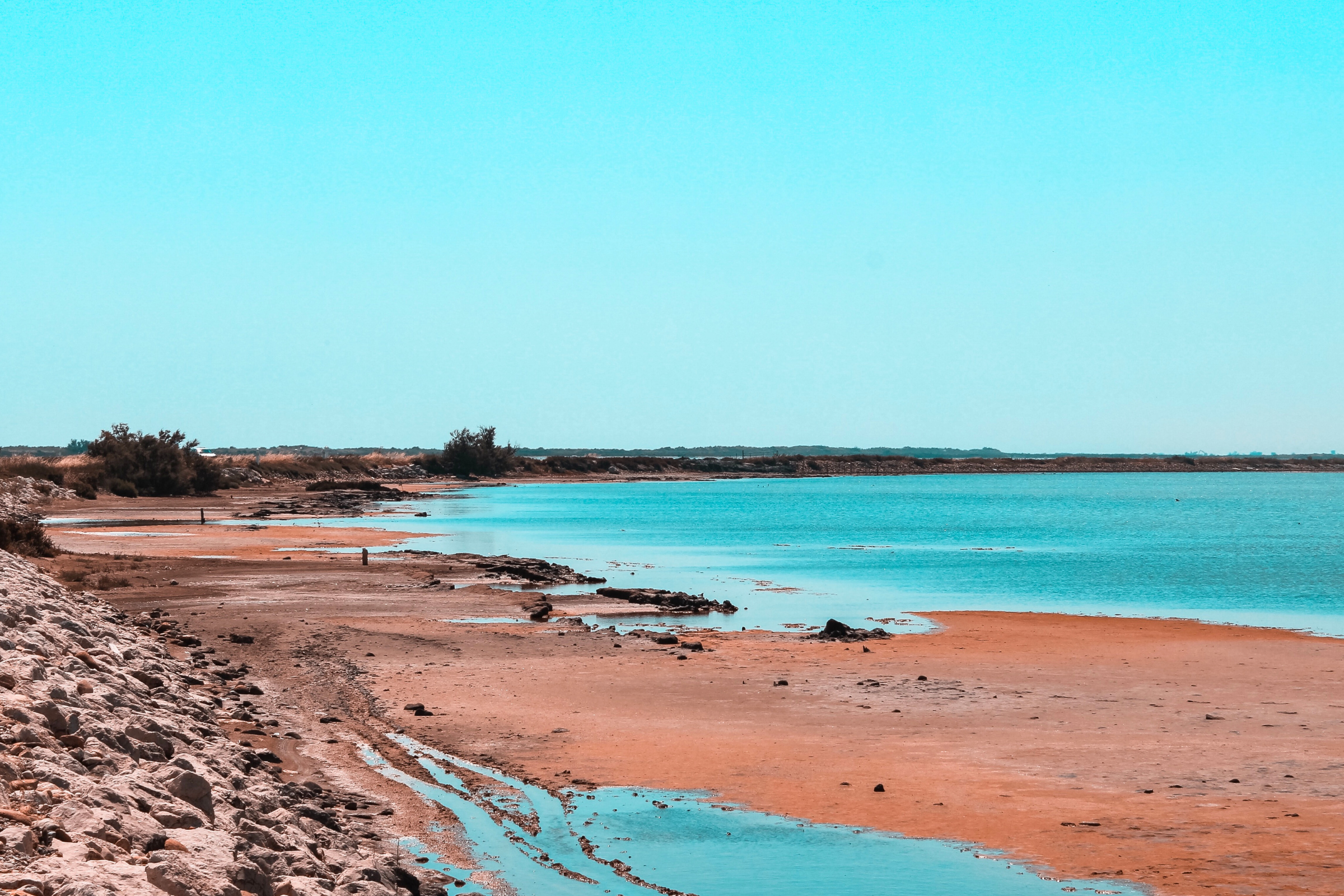 30 camargue.webp